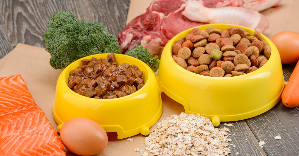 Alimentación